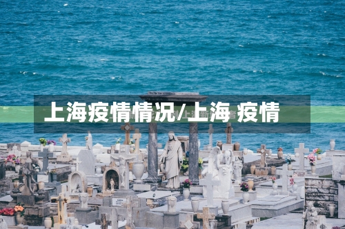 上海疫情情况/上海 疫情-第2张图片