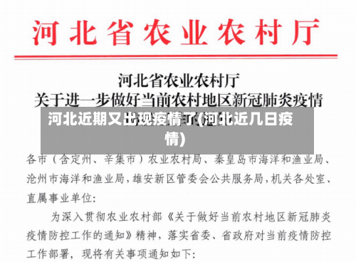 河北近期又出现疫情了(河北近几日疫情)-第3张图片