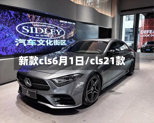 新款cls6月1日/cls21款-第2张图片