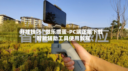 开挂技巧“微乐掼蛋-PC端正版下载”智能辅助工具使用教程-第3张图片