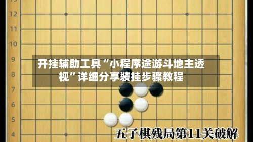 开挂辅助工具“小程序途游斗地主透视”详细分享装挂步骤教程-第2张图片