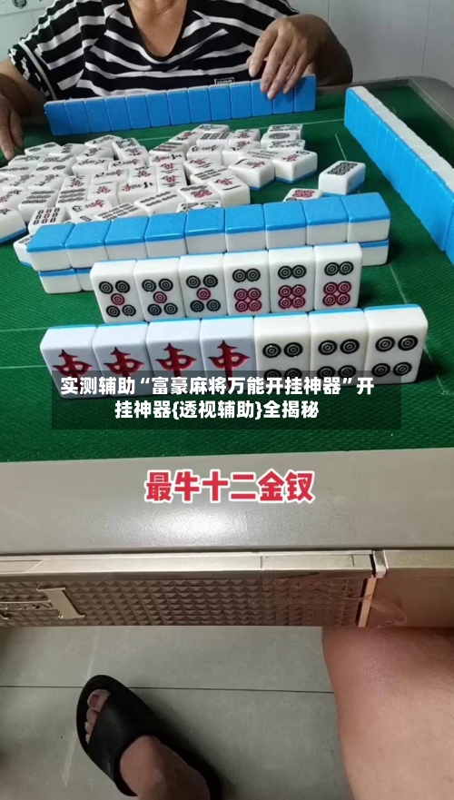 实测辅助“富豪麻将万能开挂神器”开挂神器{透视辅助}全揭秘-第2张图片