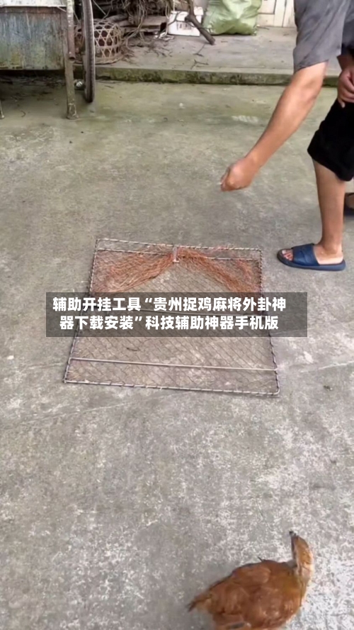 辅助开挂工具“贵州捉鸡麻将外卦神器下载安装	”科技辅助神器手机版-第1张图片