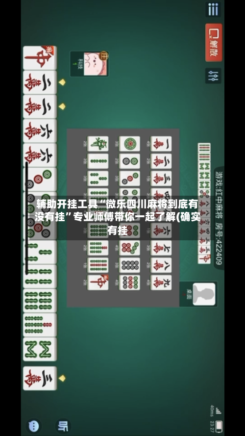 辅助开挂工具“微乐四川麻将到底有没有挂”专业师傅带你一起了解(确实有挂-第2张图片