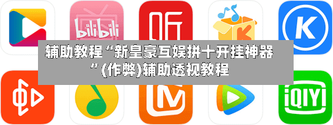 辅助教程“新皇豪互娱拼十开挂神器”(作弊)辅助透视教程-第3张图片