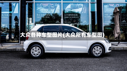 大众各种车型图片(大众所有车型图)-第2张图片