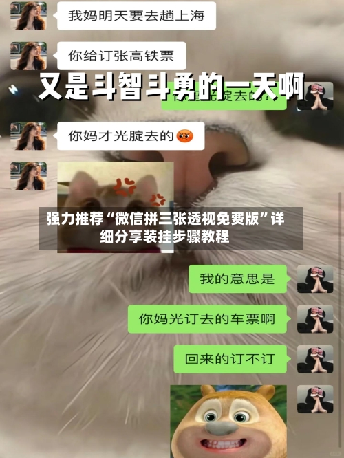强力推荐“微信拼三张透视免费版”详细分享装挂步骤教程-第1张图片