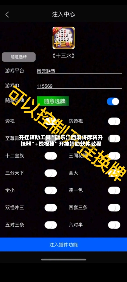 开挂辅助工具“微乐江西麻将麻将开挂器”+透视挂	”开挂辅助软件教程-第2张图片
