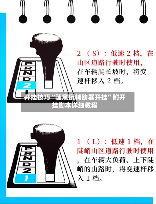 开挂技巧“随意玩辅助器开挂”附开挂脚本详细教程-第3张图片