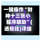 一键操作“财神十三张小程序辅助	”(透视挂)详细用法教程-第2张图片
