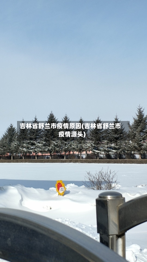 吉林省舒兰市疫情原因(吉林省舒兰市疫情源头)-第3张图片