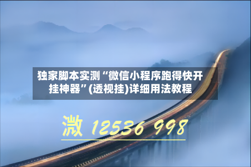 独家脚本实测“微信小程序跑得快开挂神器”(透视挂)详细用法教程-第1张图片