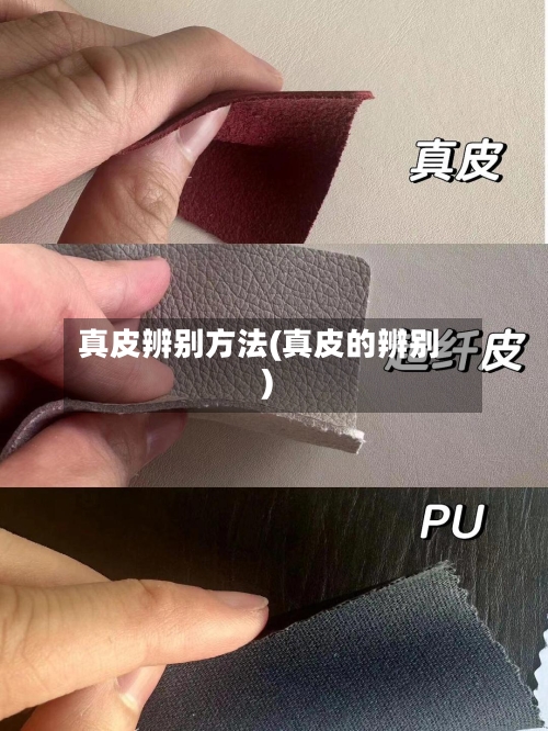 真皮辨别方法(真皮的辨别)-第3张图片