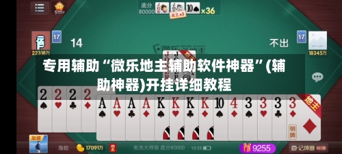专用辅助“微乐地主辅助软件神器”(辅助神器)开挂详细教程-第3张图片