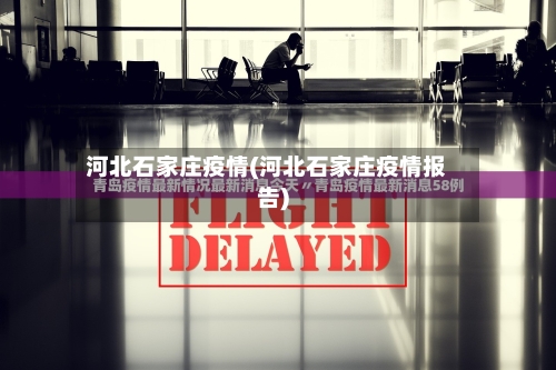 河北石家庄疫情(河北石家庄疫情报告)-第3张图片