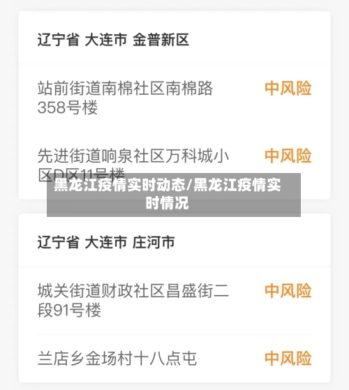 黑龙江疫情实时动态/黑龙江疫情实时情况-第2张图片