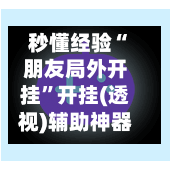 秒懂经验“朋友局外开挂”开挂(透视)辅助神器-第3张图片