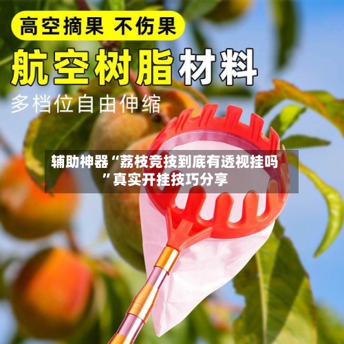 辅助神器“荔枝竞技到底有透视挂吗	”真实开挂技巧分享-第2张图片