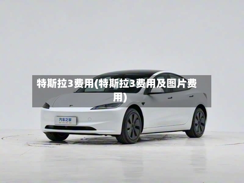 特斯拉3费用(特斯拉3费用及图片费用)-第2张图片
