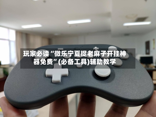 玩家必读“微乐宁夏捉老麻子开挂神器免费”(必备工具)辅助教学-第2张图片