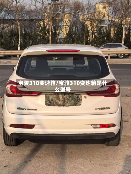 宝骏310变速箱/宝骏310变速箱是什么型号-第3张图片