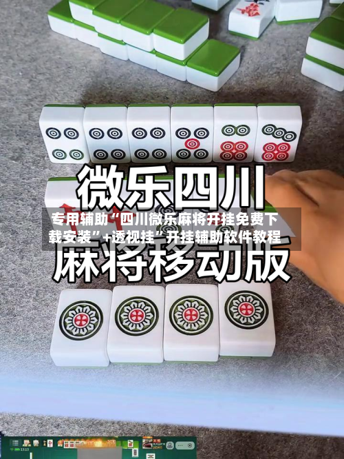 专用辅助“四川微乐麻将开挂免费下载安装”+透视挂”开挂辅助软件教程-第2张图片