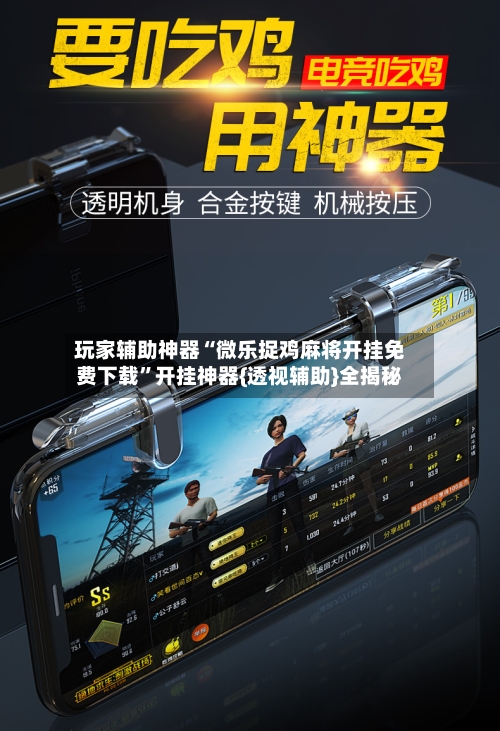 玩家辅助神器“微乐捉鸡麻将开挂免费下载”开挂神器{透视辅助}全揭秘-第3张图片