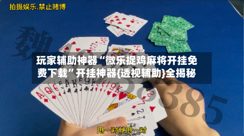 玩家辅助神器“微乐捉鸡麻将开挂免费下载”开挂神器{透视辅助}全揭秘-第2张图片