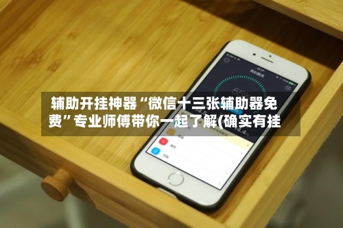 辅助开挂神器“微信十三张辅助器免费”专业师傅带你一起了解(确实有挂-第3张图片
