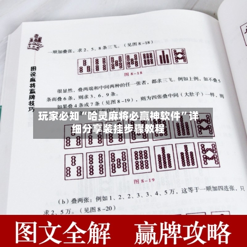 玩家必知“哈灵麻将必赢神软件	”详细分享装挂步骤教程-第2张图片