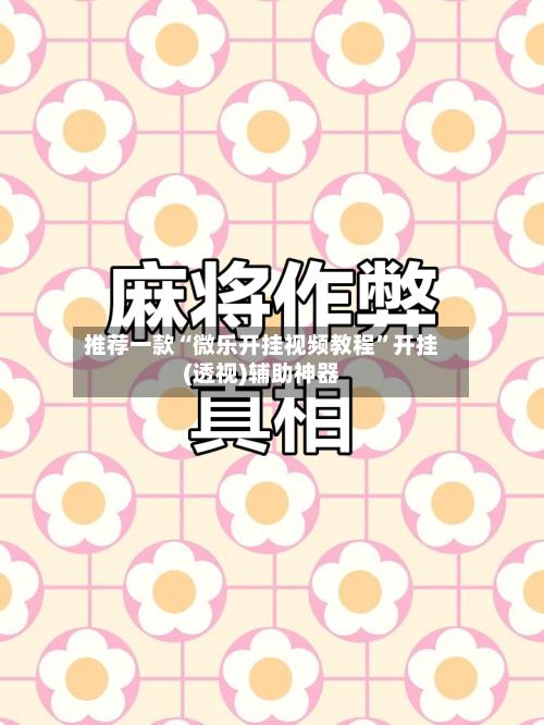 推荐一款“微乐开挂视频教程”开挂(透视)辅助神器-第2张图片