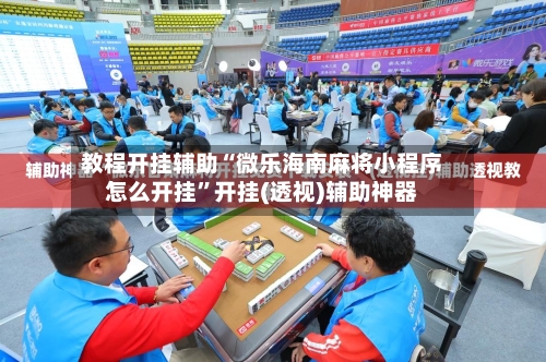 教程开挂辅助“微乐海南麻将小程序怎么开挂”开挂(透视)辅助神器-第2张图片
