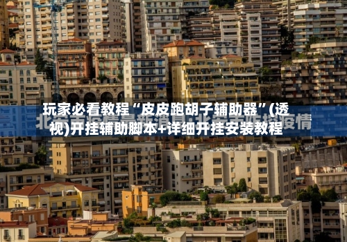 玩家必看教程“皮皮跑胡子辅助器	”(透视)开挂辅助脚本+详细开挂安装教程-第2张图片
