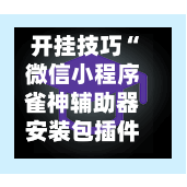开挂技巧“微信小程序雀神辅助器安装包插件”科技辅助神器手机版教程-第2张图片
