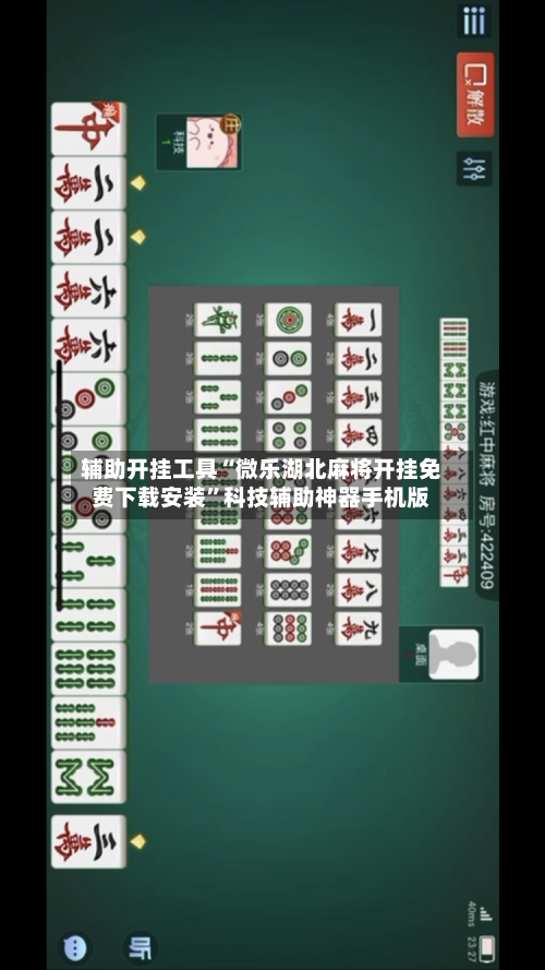 辅助开挂工具“微乐湖北麻将开挂免费下载安装	”科技辅助神器手机版-第2张图片