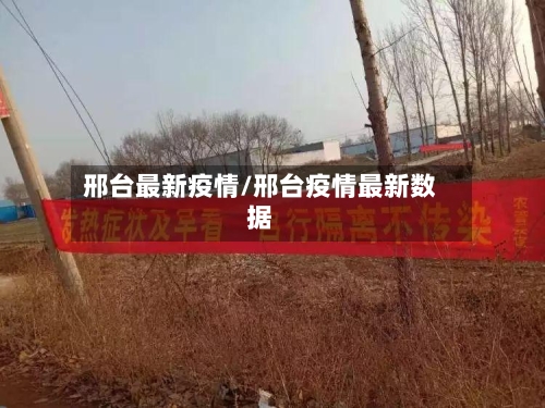 邢台最新疫情/邢台疫情最新数据-第3张图片