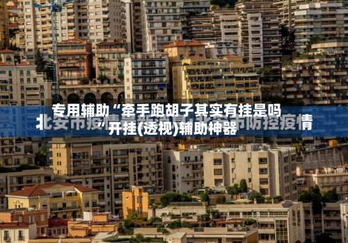 专用辅助“牵手跑胡子其实有挂是吗	”开挂(透视)辅助神器-第3张图片