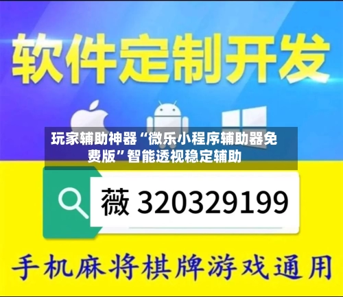 玩家辅助神器“微乐小程序辅助器免费版	”智能透视稳定辅助-第2张图片
