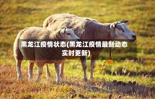 黑龙江疫情状态(黑龙江疫情最新动态实时更新)-第1张图片
