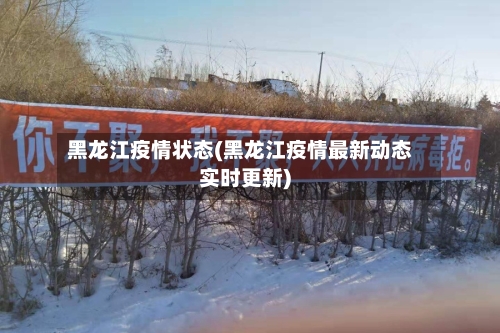黑龙江疫情状态(黑龙江疫情最新动态实时更新)-第3张图片