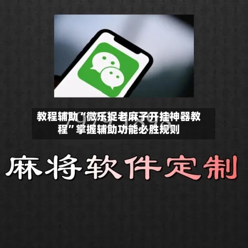 教程辅助“微乐捉老麻子开挂神器教程”掌握辅助功能必胜规则-第3张图片