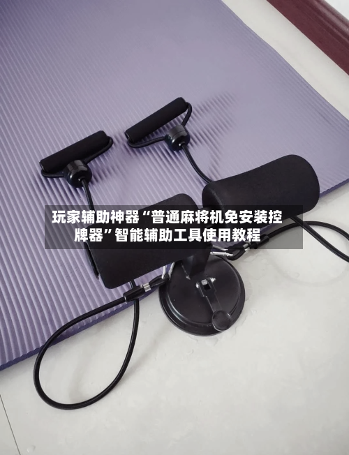 玩家辅助神器“普通麻将机免安装控牌器”智能辅助工具使用教程-第3张图片