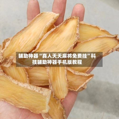 辅助神器“真人天天麻将免费挂	”科技辅助神器手机版教程-第1张图片