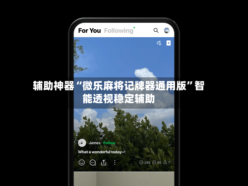 辅助神器“微乐麻将记牌器通用版”智能透视稳定辅助-第3张图片