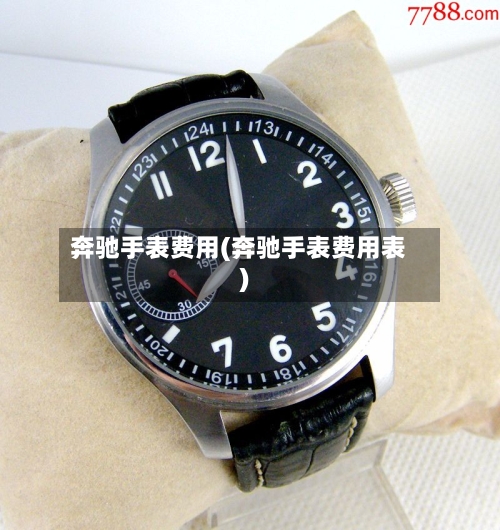 奔驰手表费用(奔驰手表费用表)-第3张图片