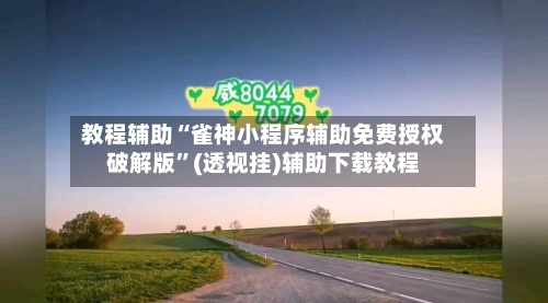 教程辅助“雀神小程序辅助免费授权破解版”(透视挂)辅助下载教程-第2张图片