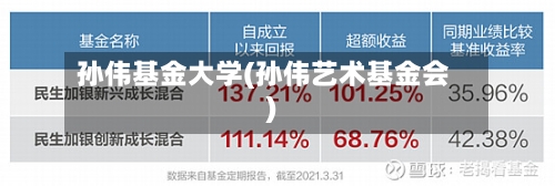 孙伟基金大学(孙伟艺术基金会)-第1张图片