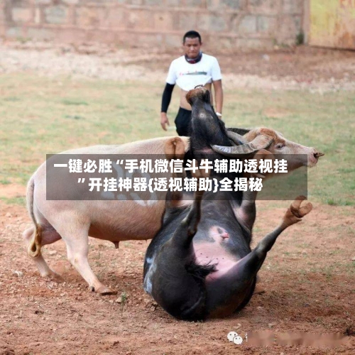 一键必胜“手机微信斗牛辅助透视挂	”开挂神器{透视辅助}全揭秘-第2张图片