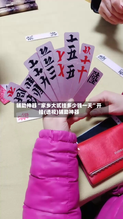 辅助神器“家乡大贰挂多少钱一天”开挂(透视)辅助神器