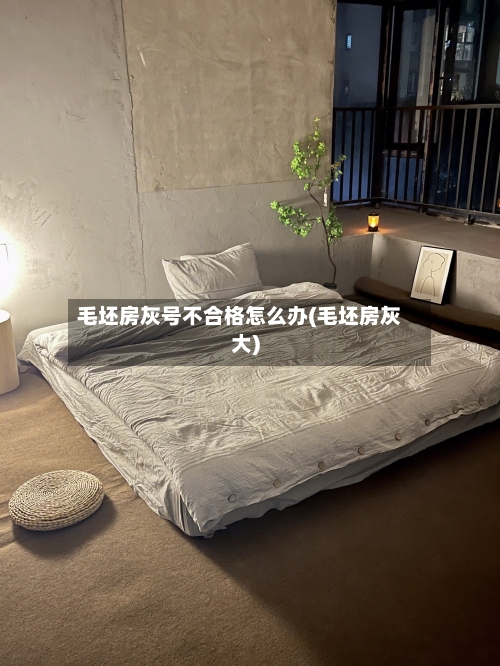 毛坯房灰号不合格怎么办(毛坯房灰大)-第1张图片